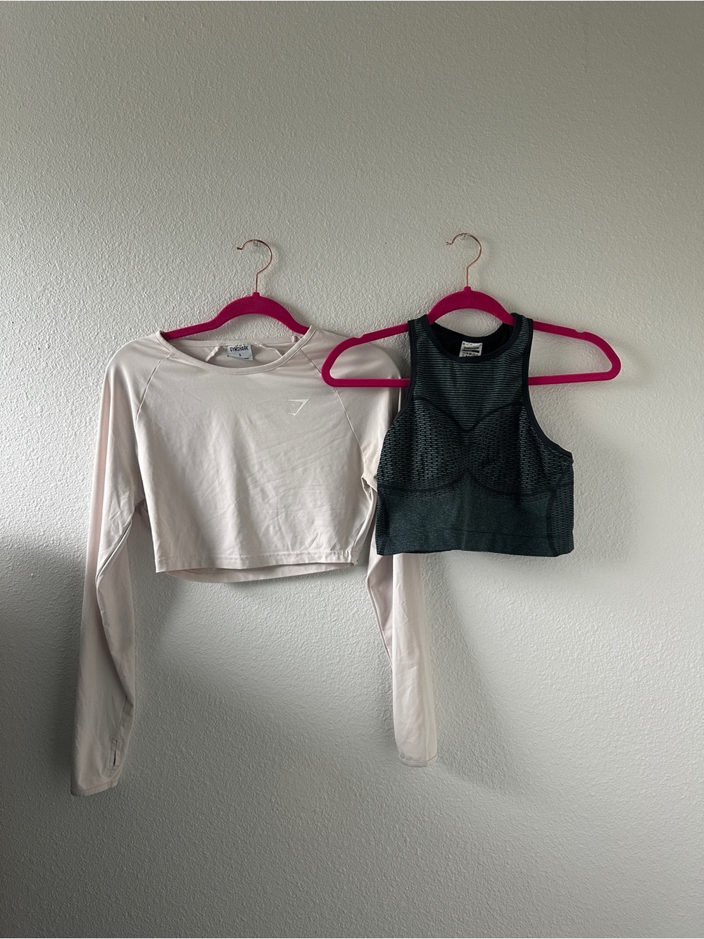 Gymshark  Cropped Long Sleeve + Dark Gray Mesh Sports Bra Set